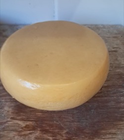 Ouro branco do sertão mineiro ✨ Queijo artesanal de qualidade excepcional